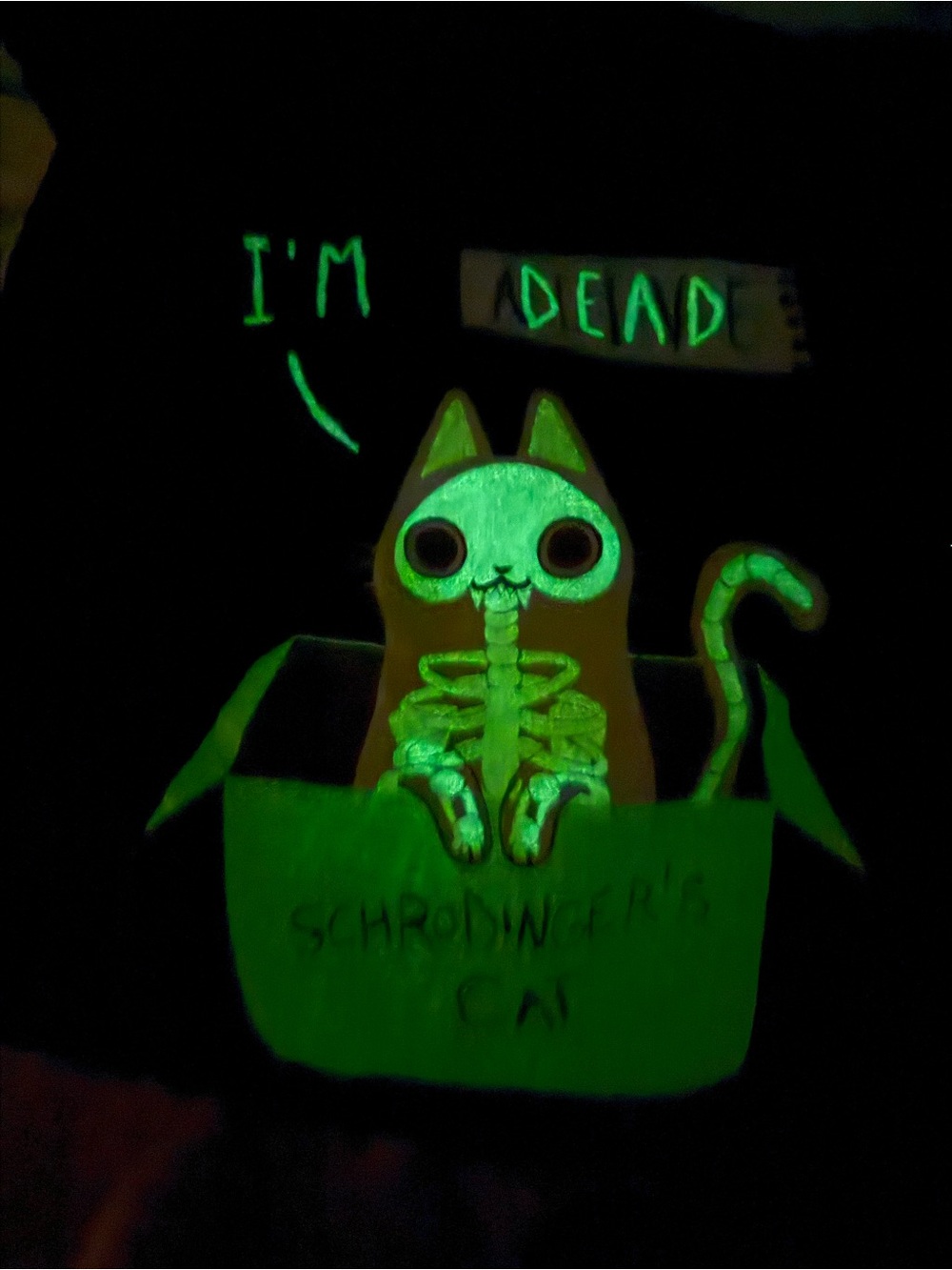 Teefury Parody Tee Schrödinger's Radiant Cat Graphic Tee Glows in the Dark